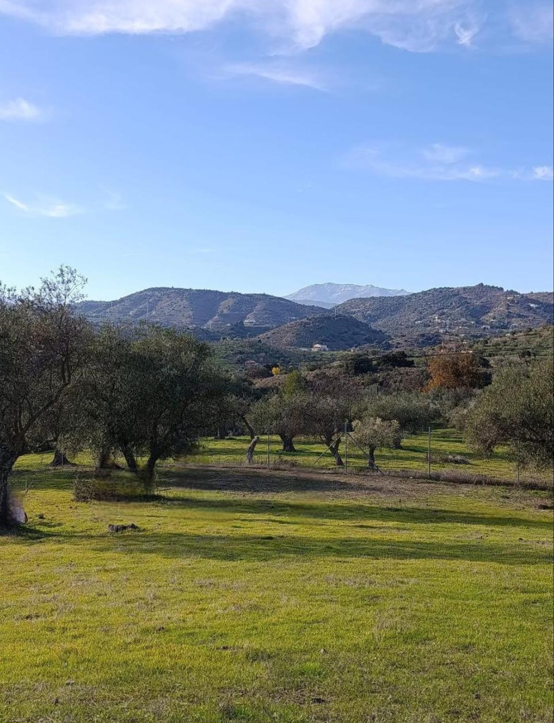 Terreno rústico en venta – Zona La Vega, Monda