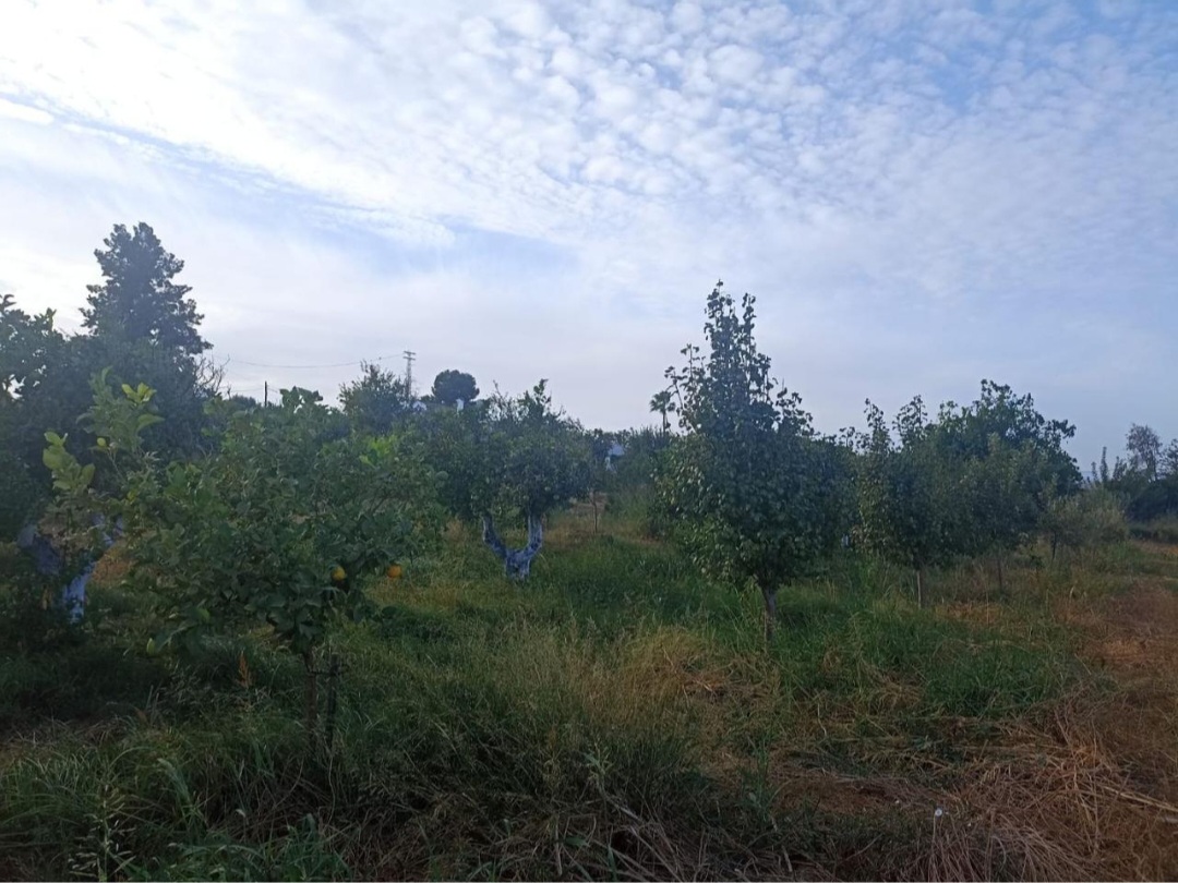 Parcela urbana llana en El Romeral – Alhaurín de la Torre