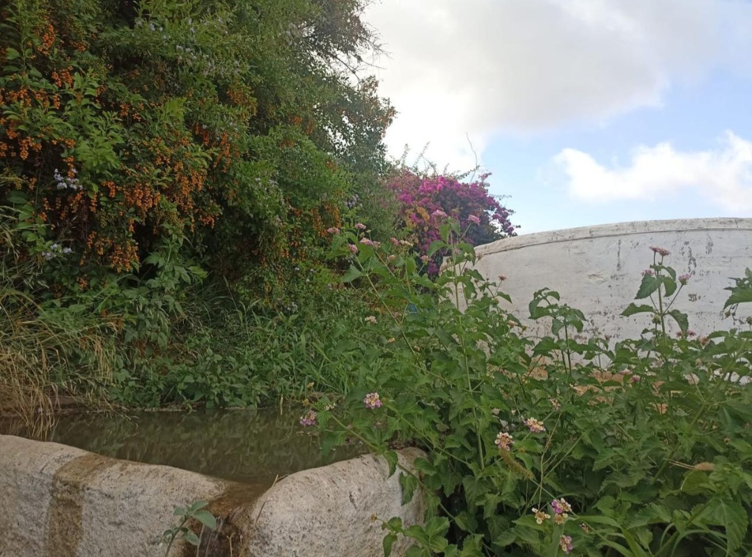 Parcela urbana llana en El Romeral – Alhaurín de la Torre