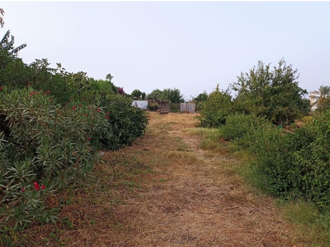Parcela urbana llana en El Romeral – Alhaurín de la Torre