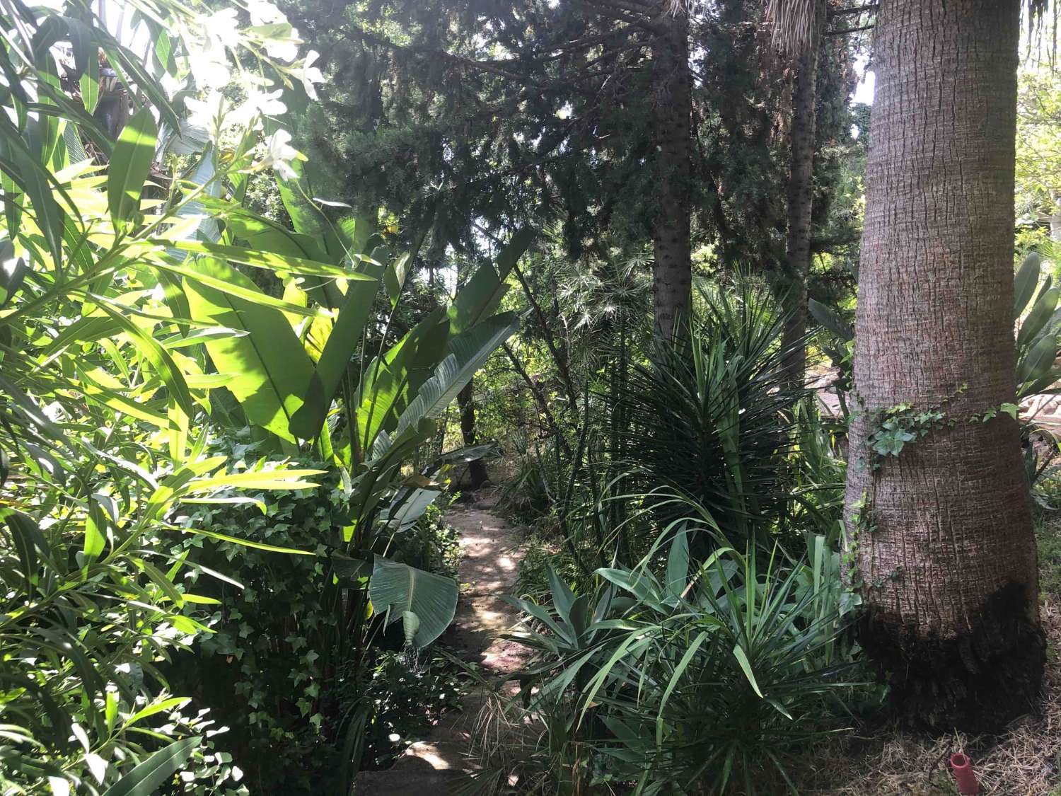 Exclusiva residencia o encantador hotel boutique en la Costa del Sol