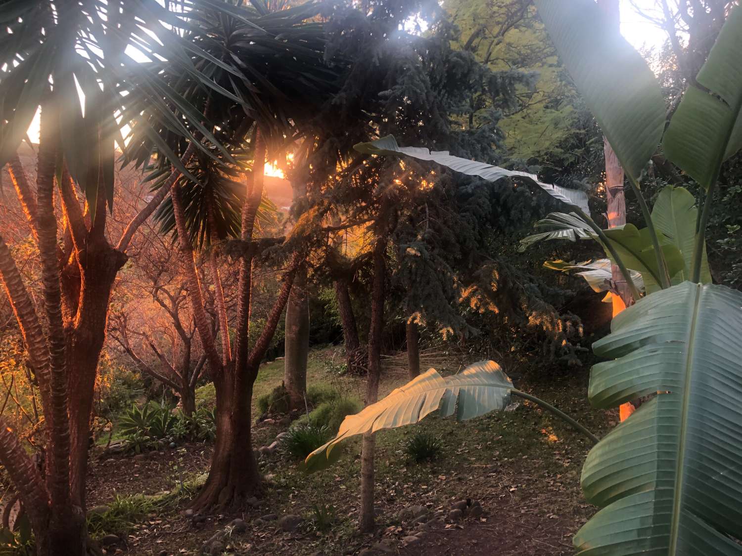 Exclusiva residencia o encantador hotel boutique en la Costa del Sol