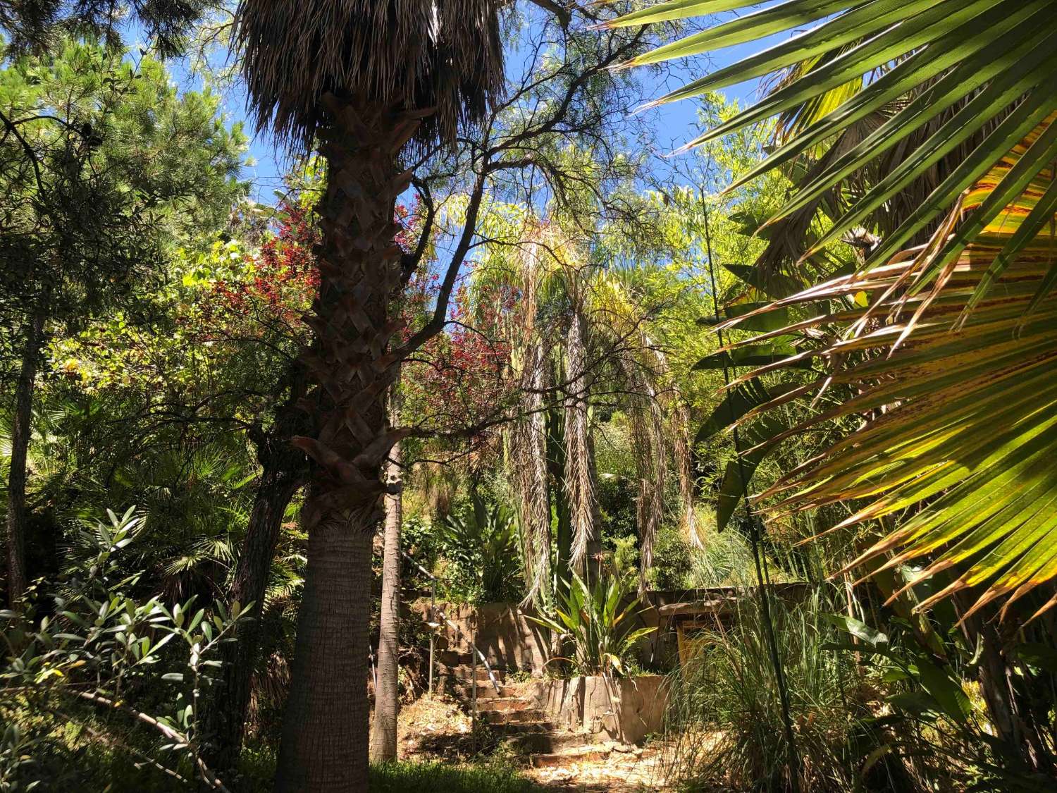 Exclusiva residencia o encantador hotel boutique en la Costa del Sol