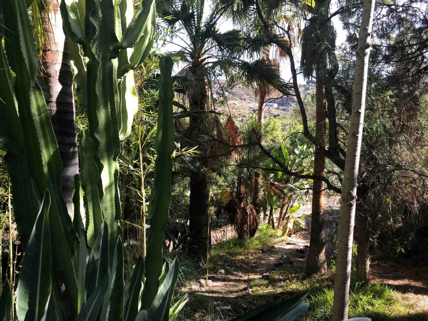 Exclusiva residencia o encantador hotel boutique en la Costa del Sol