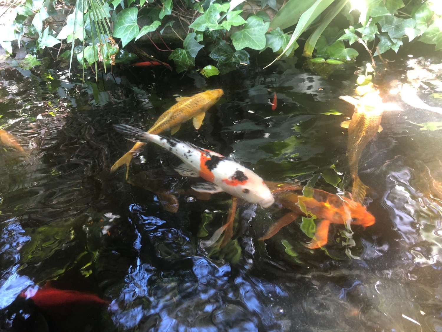 Exclusiva residencia o encantador hotel boutique en la Costa del Sol