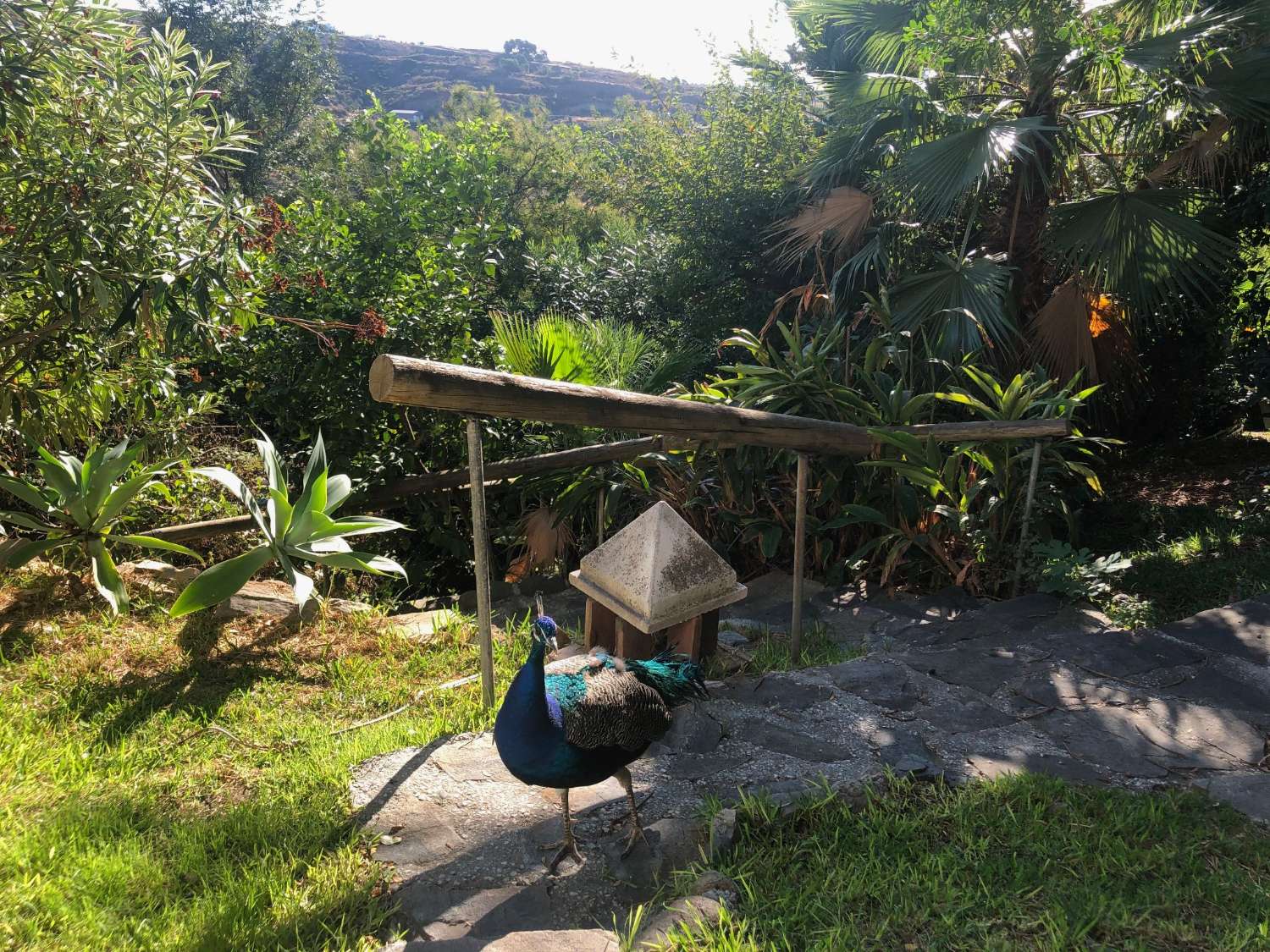 Exclusiva residencia o encantador hotel boutique en la Costa del Sol