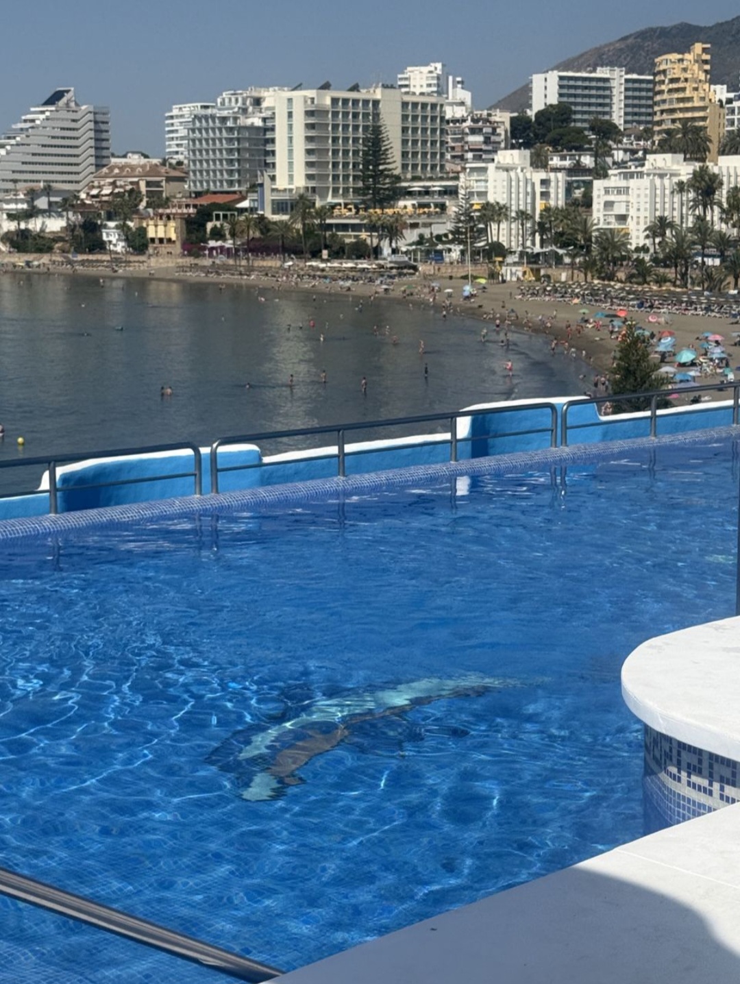 Exclusivo apartamento en Puerto Marina, Benalmádena