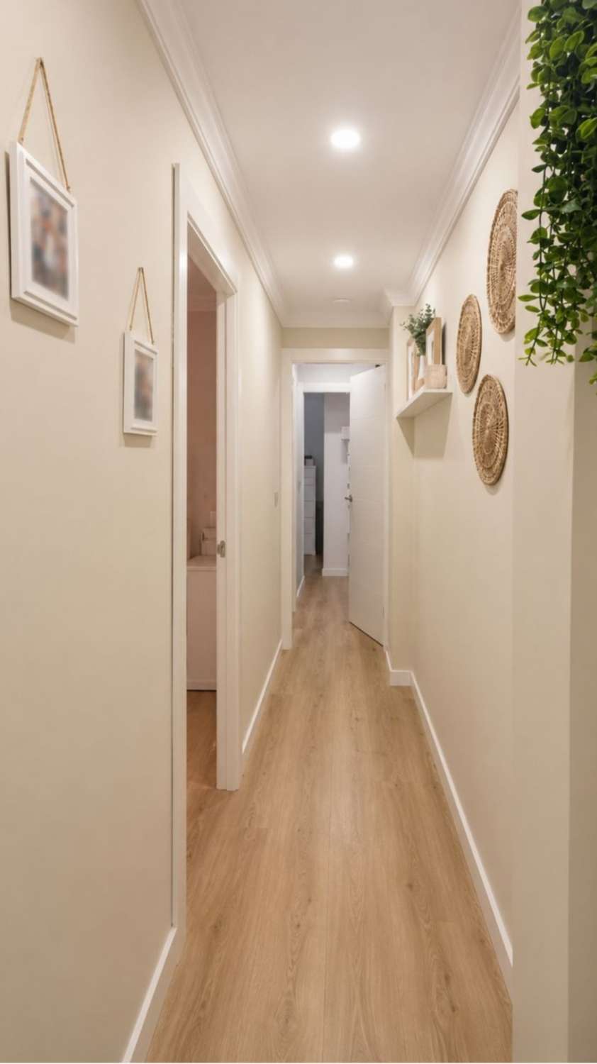 Tu nuevo hogar en el centro de Málaga: reformado, luminoso y con ascensor