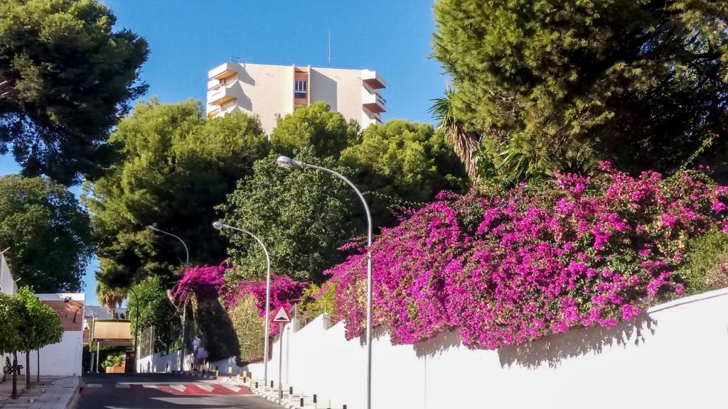 Apartamento reformado con dos terrazas y licencia vacacional en Torremolinos