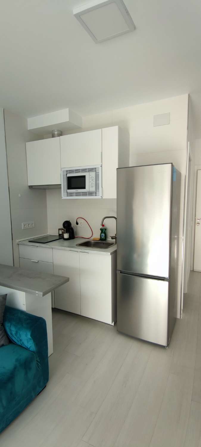 Studio Flat for holidays in Manantiales - Estación de Autobuses (Torremolinos)
