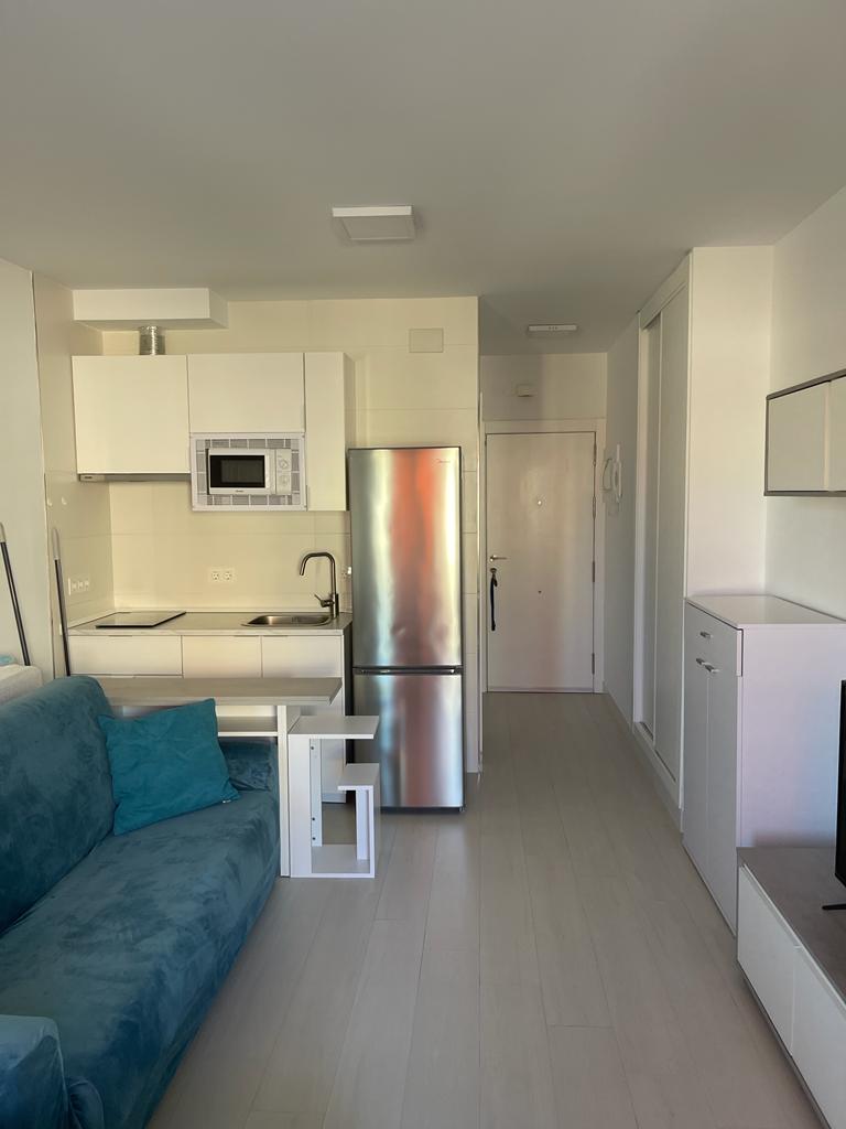 Studio Flat for holidays in Manantiales - Estación de Autobuses (Torremolinos)