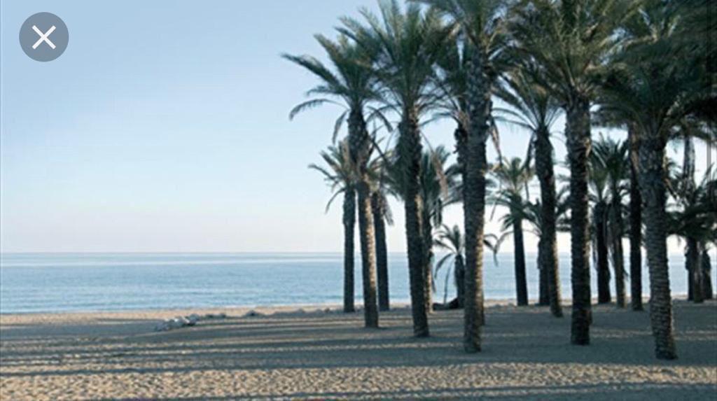 Byt de vacances in Playamar (Torremolinos)