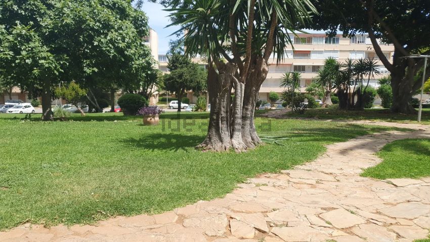 Studie für ferien in La Carihuela - Los Nidos (Torremolinos)