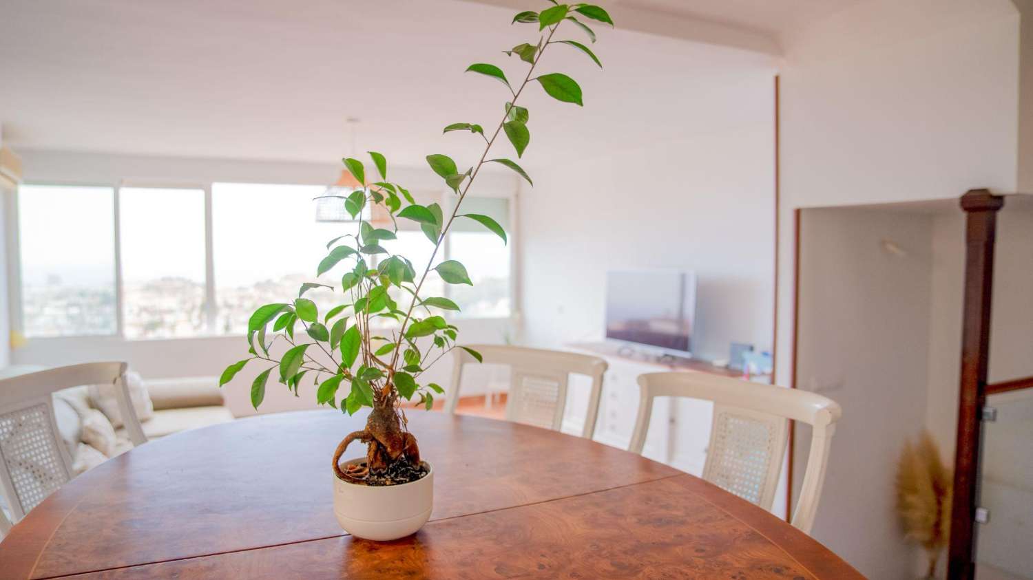 木屋 出售 在 Santangelo (Benalmádena)