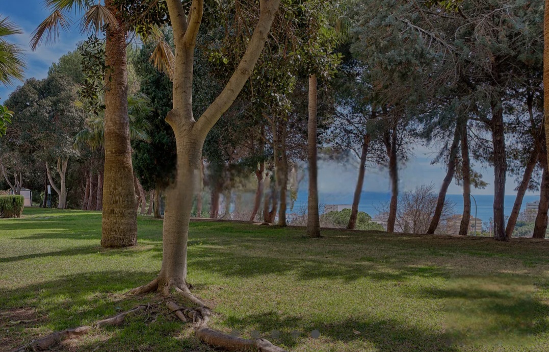 一室公寓 出售 在 Parque de la Paloma (Benalmádena)