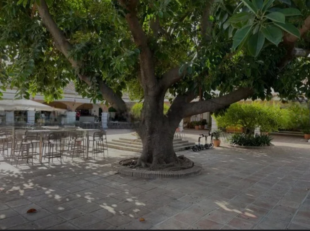 Chalet for sale in Alhaurín de la Torre