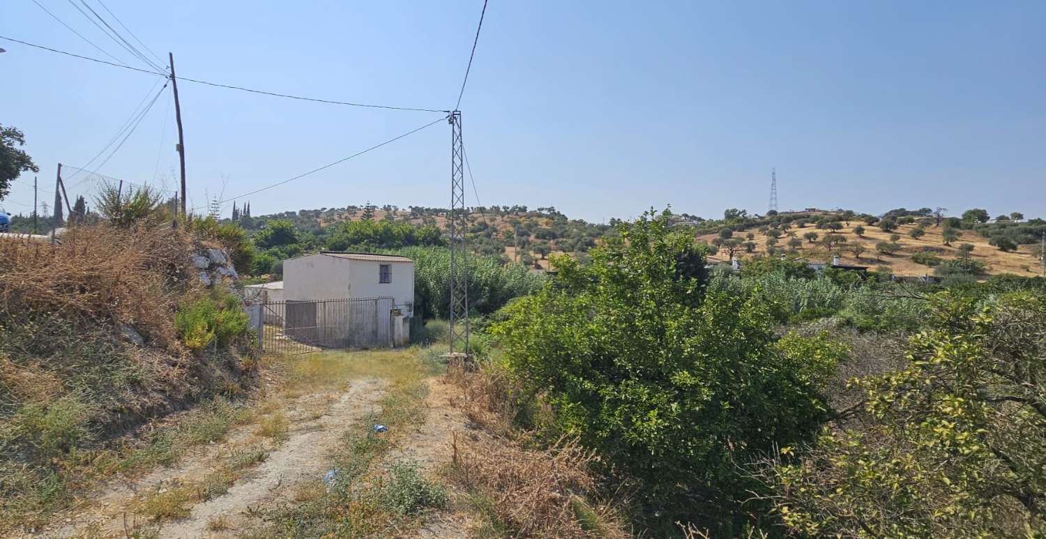 Finca rustica en Coín