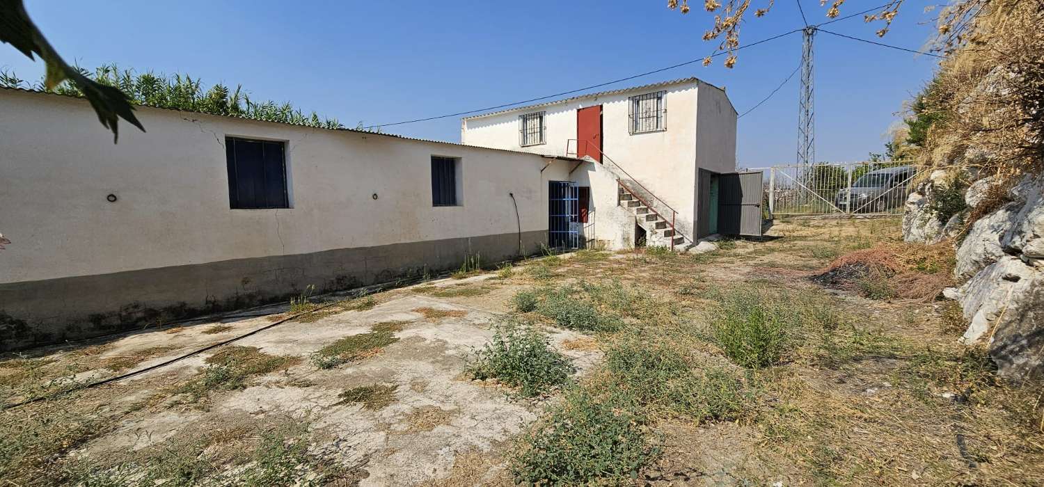 Finca rustica en Coín