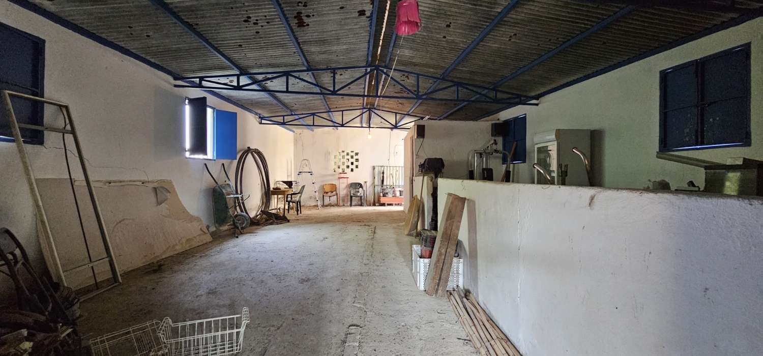 Finca rustica en Coín