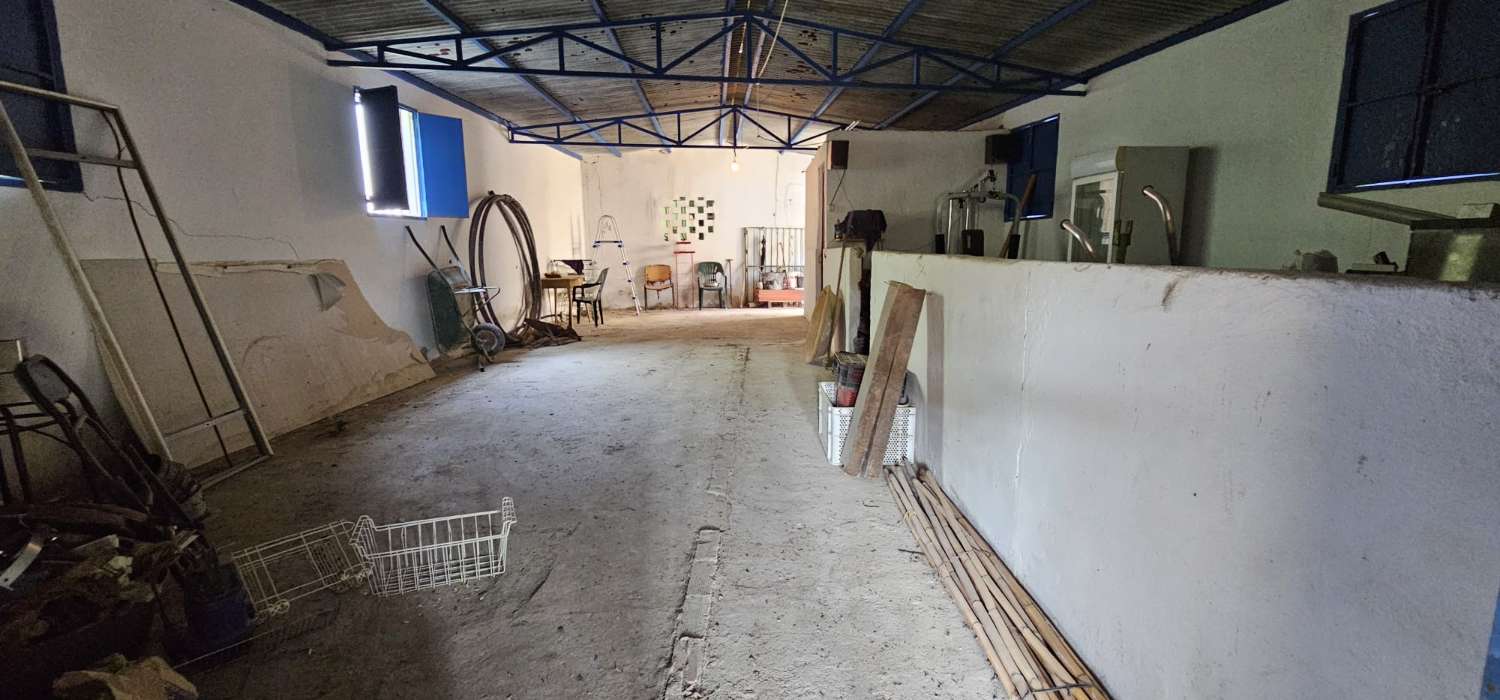 Finca rustica en Coín