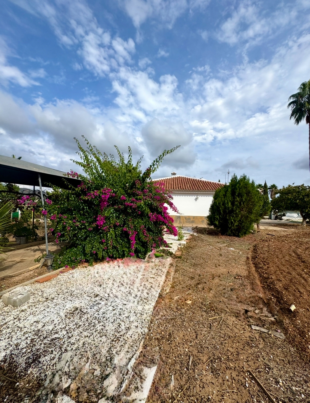 FInca en Alhaurin de la Torre