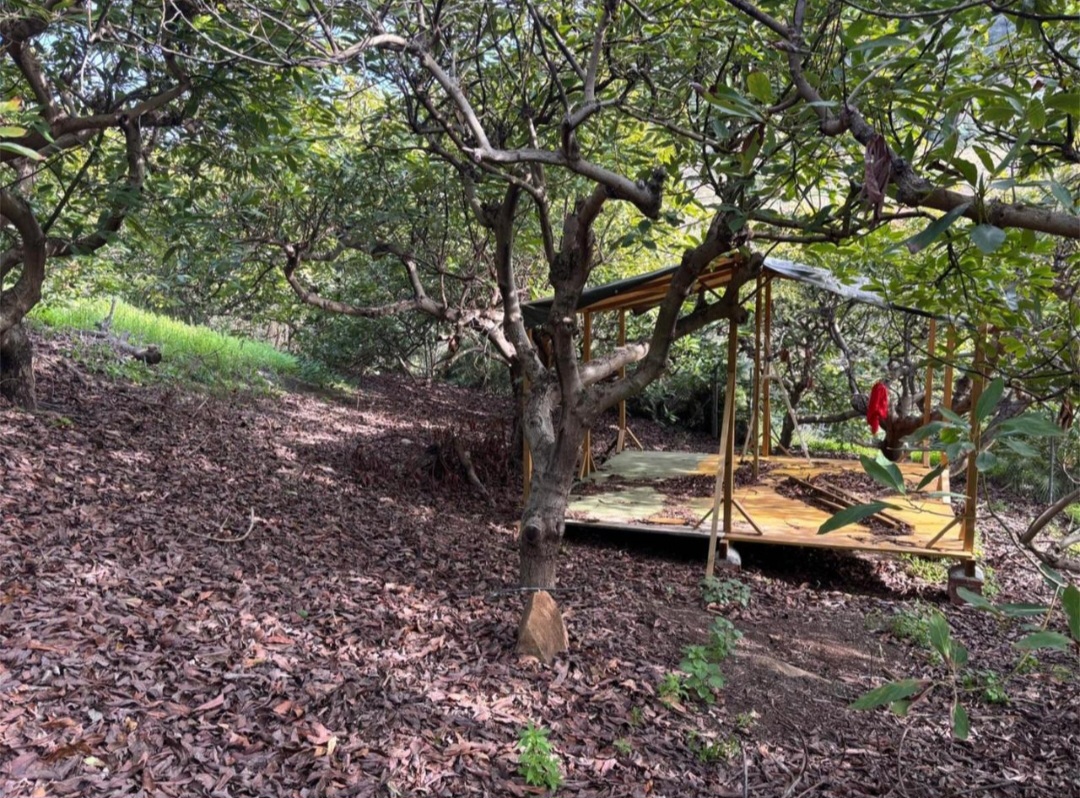 Finca rustica en Alhaurin El Grande