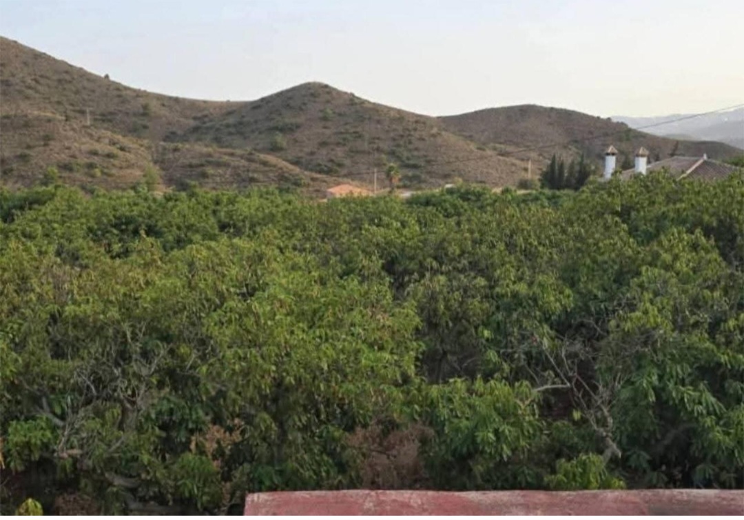 Finca rustica en Alhaurin El Grande