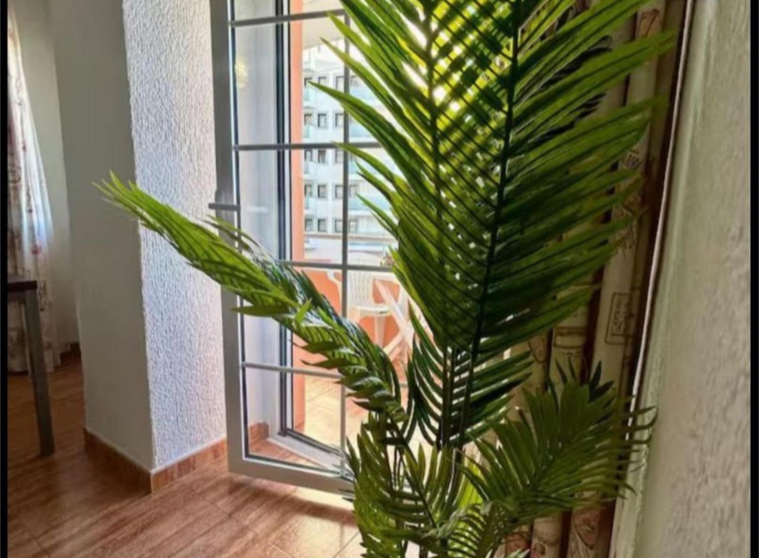 一室公寓 出售 在 Manantiales - Estación de Autobuses (Torremolinos)