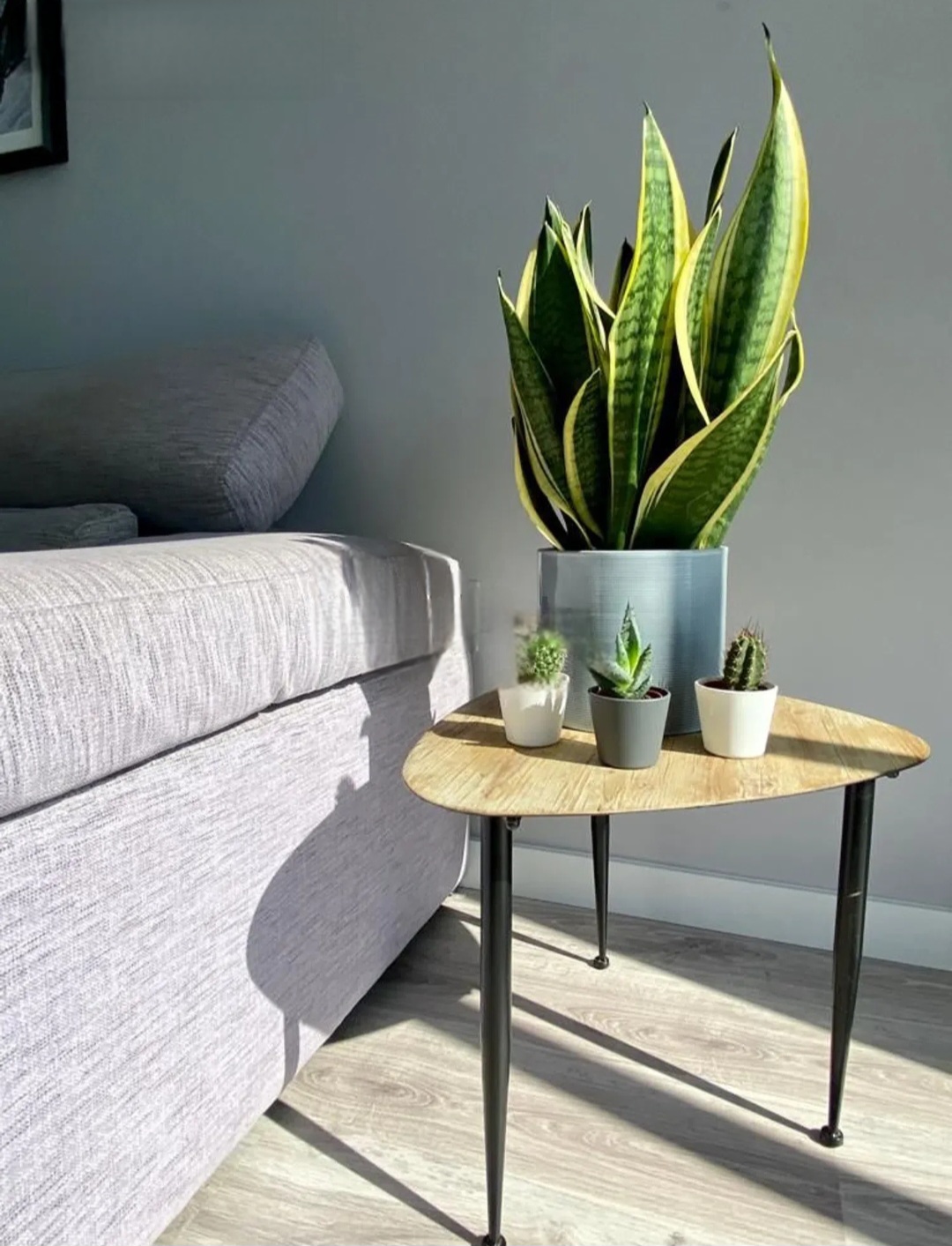 Estudio con licencia turistica y vistas al mar en Torremolinos