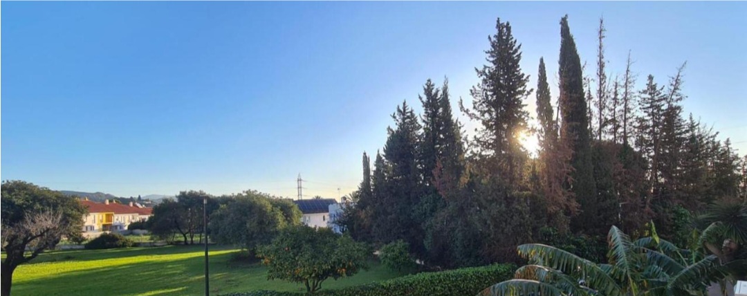 Excelente vivienda situada en una de las zonas más demandadas de Marbella, El Mirador.