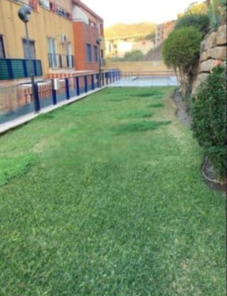 Bonito piso en La Cala del Moral – Rincón de la Victoria