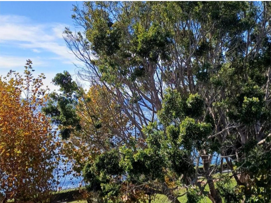 Estudio en primera línea de playa — Renovado, con licencia turística y NRU  en Estepona