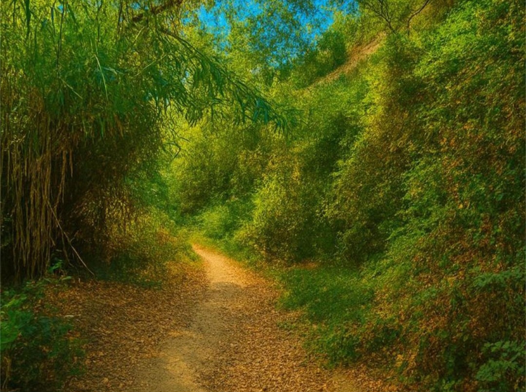 Villa en Benahavis con máxima privacidad y vistas espectaculares