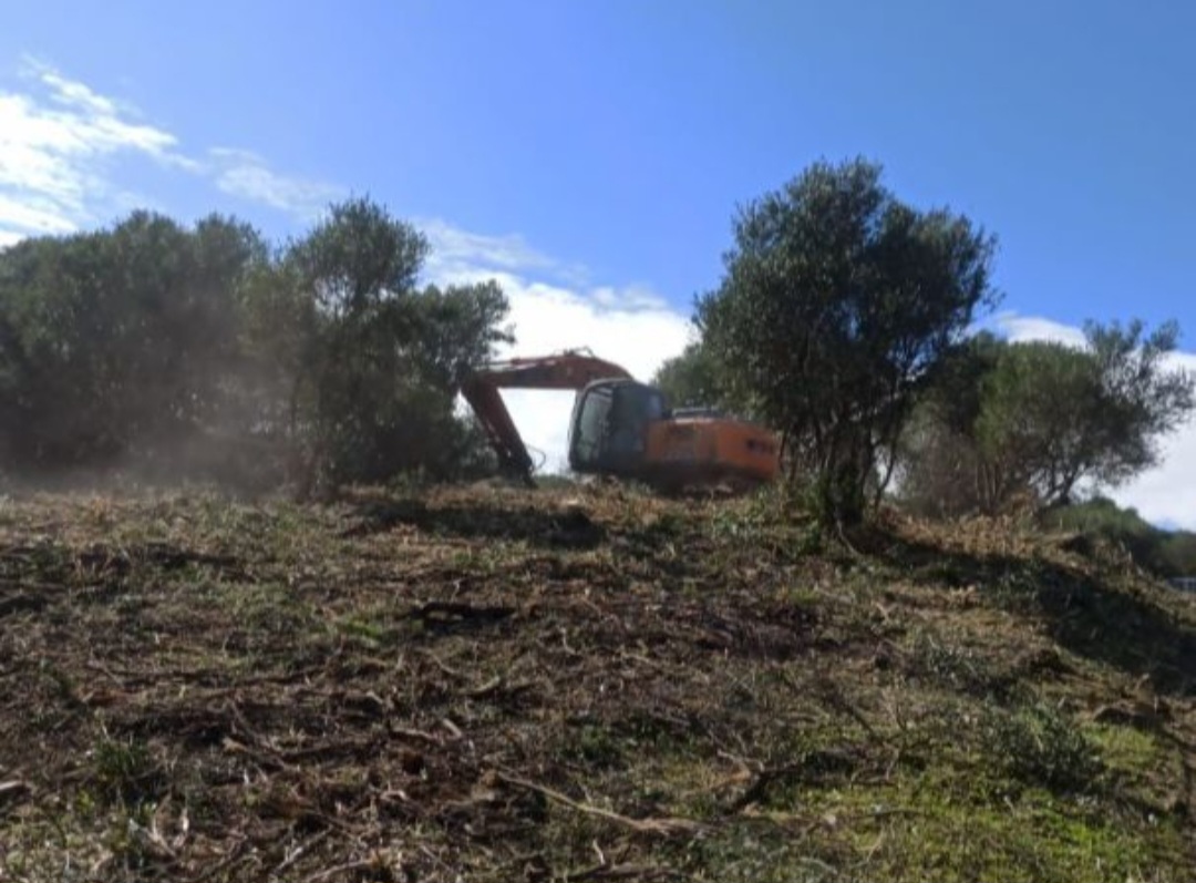 Finca rústica con pozo legal y posibilidad de vivienda unifamiliar – Casares