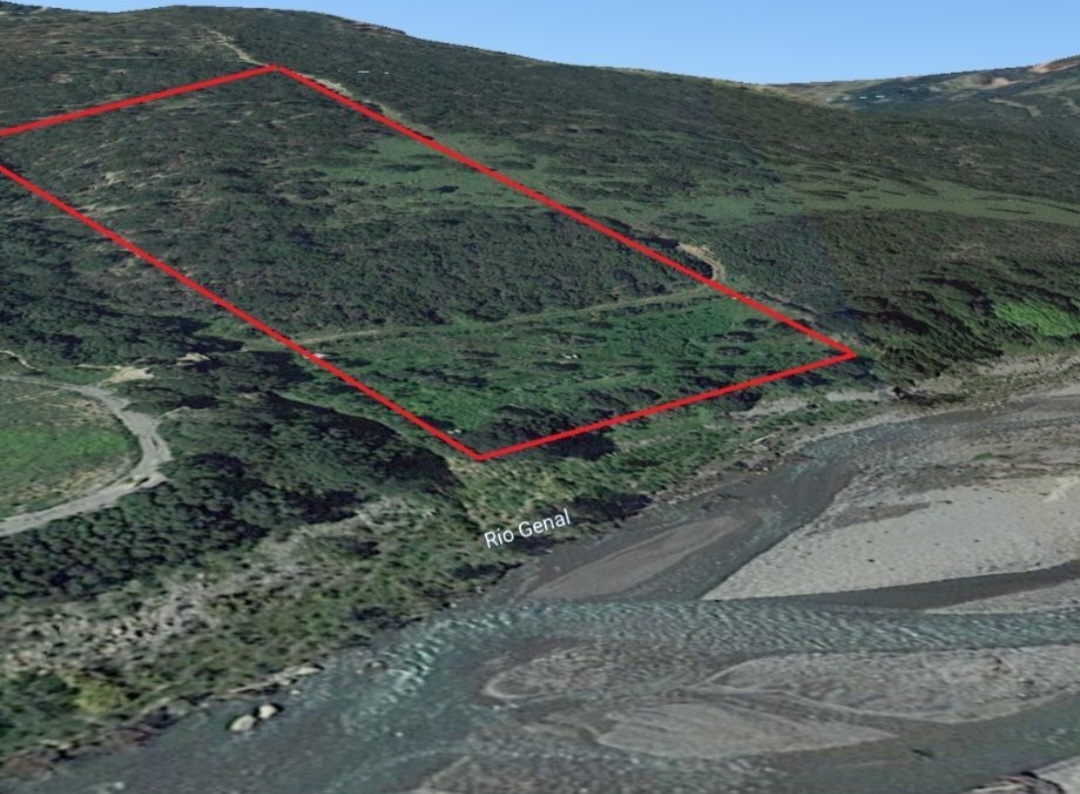 Finca rústica con pozo legal y posibilidad de vivienda unifamiliar – Casares