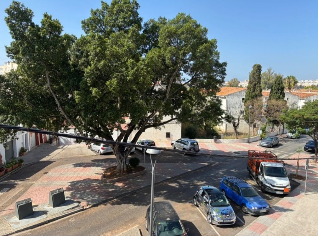 Acogedor apartamento reformado y muy luminoso en Marbella