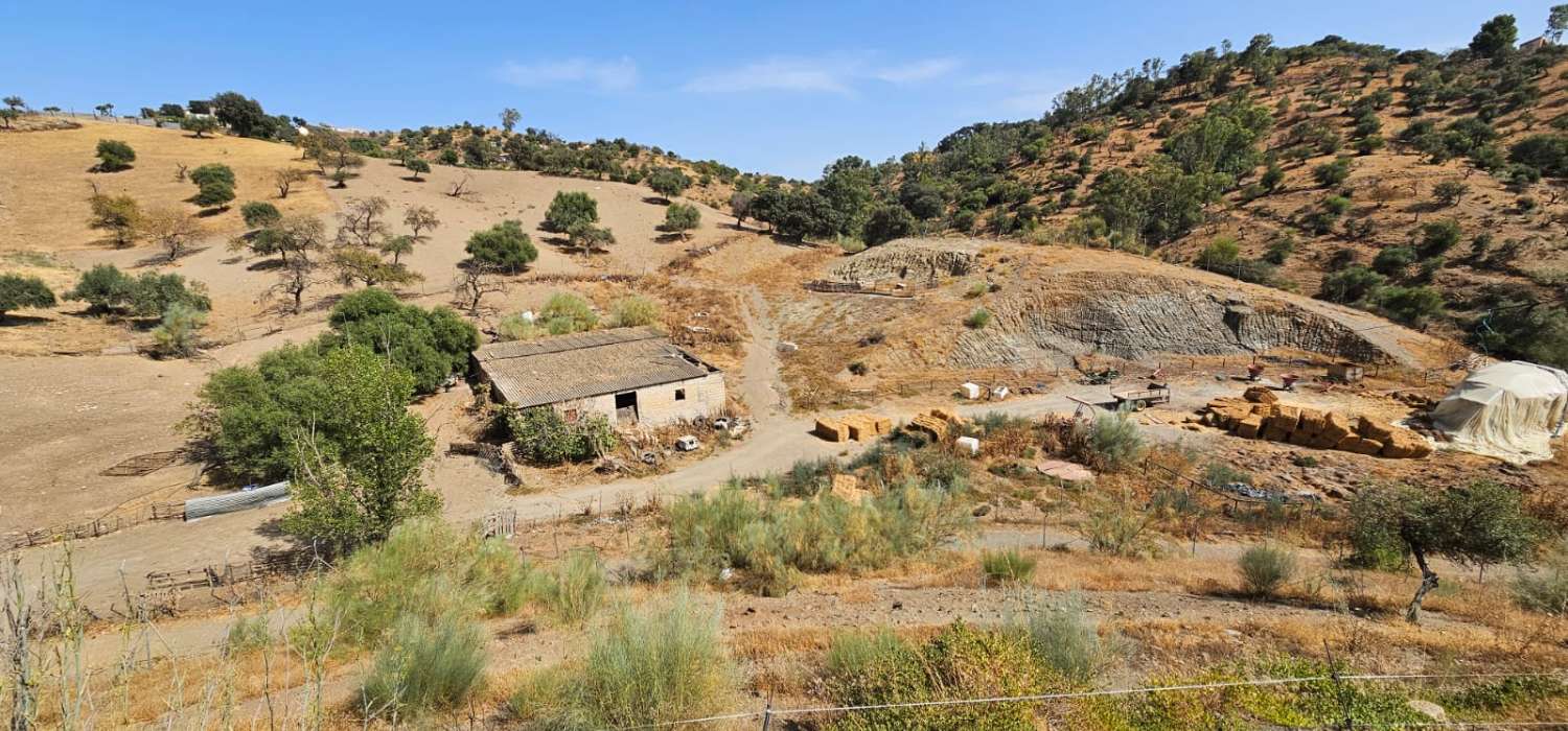 Espectacular finca en Gibralgalia (Cártama) con 10.000 m² de parcela urbana, piscina y establo