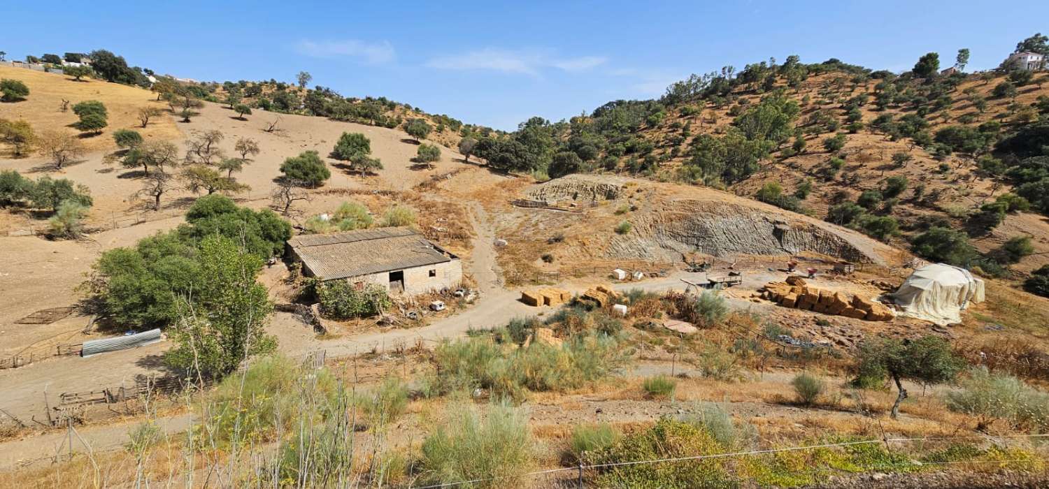 Espectacular finca en Gibralgalia (Cártama) con 10.000 m² de parcela urbana, piscina y establo