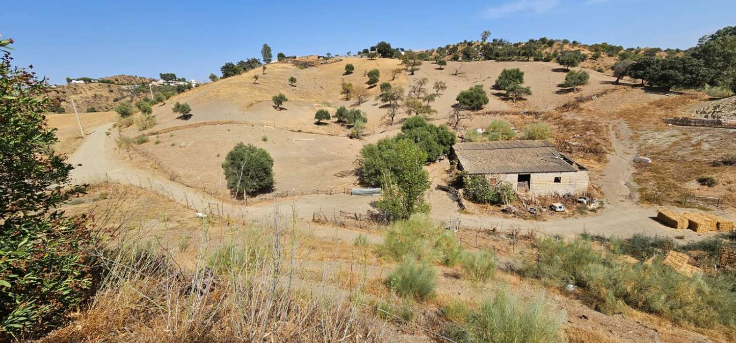 Espectacular finca en Gibralgalia (Cártama) con 10.000 m² de parcela urbana, piscina y establo
