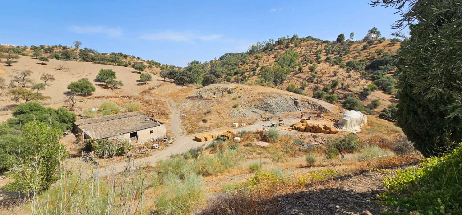 Espectacular finca en Gibralgalia (Cártama) con 10.000 m² de parcela urbana, piscina y establo