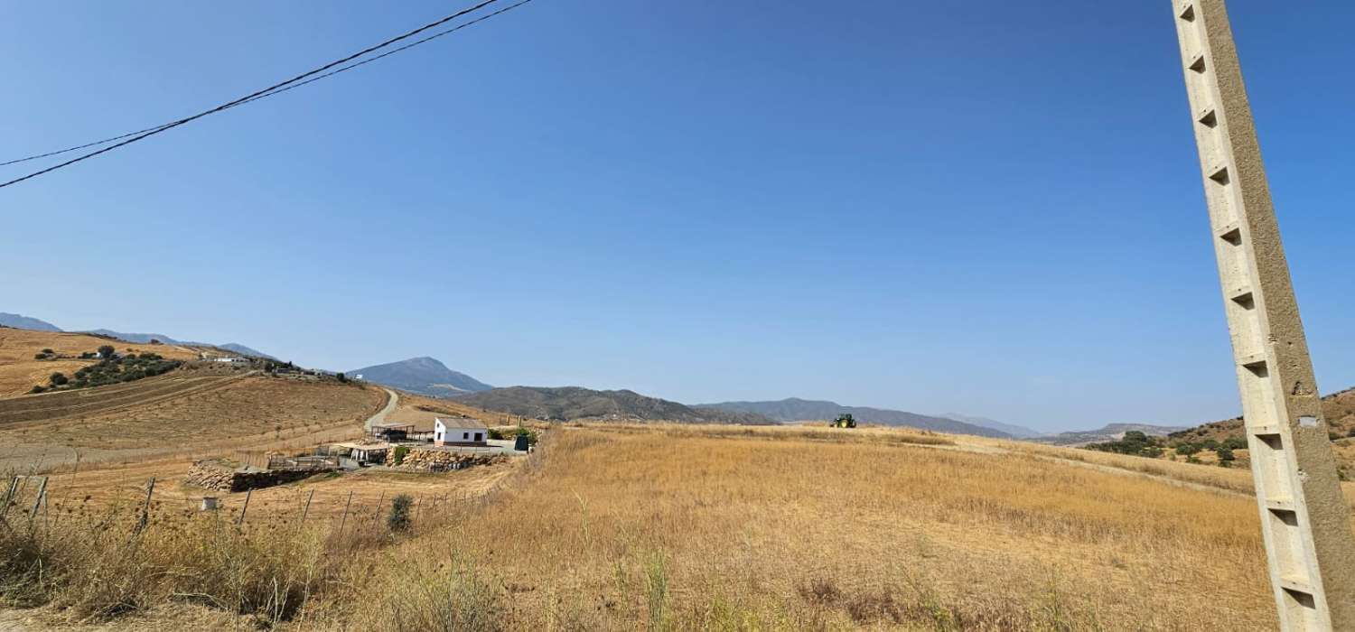Espectacular finca en Gibralgalia (Cártama) con 10.000 m² de parcela urbana, piscina y establo