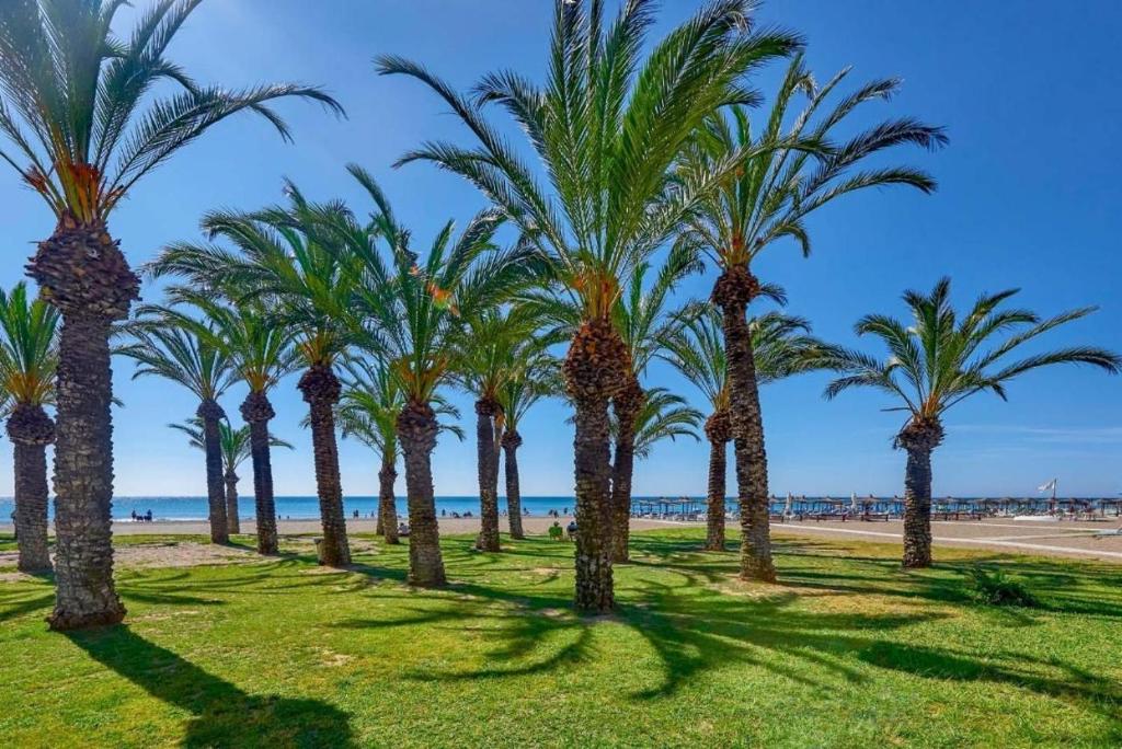 Estudio con terraza en segunda línea de playa en La Carihuela