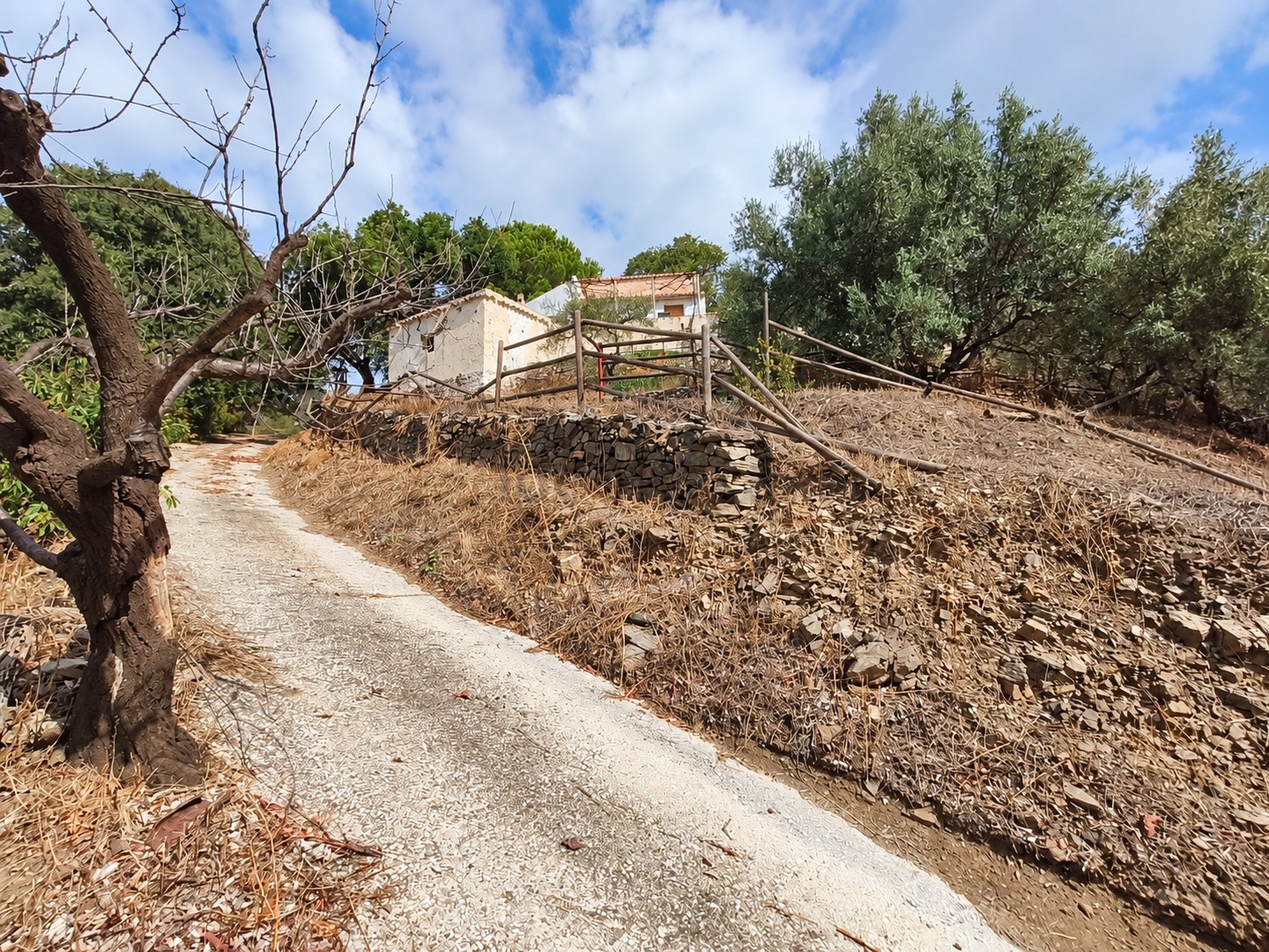 CORTIJO CON 5.650 M² DE TERRENO, VISTAS ABIERTAS Y GRAN POTENCIAL EN CÓMPETA – MÁLAGA