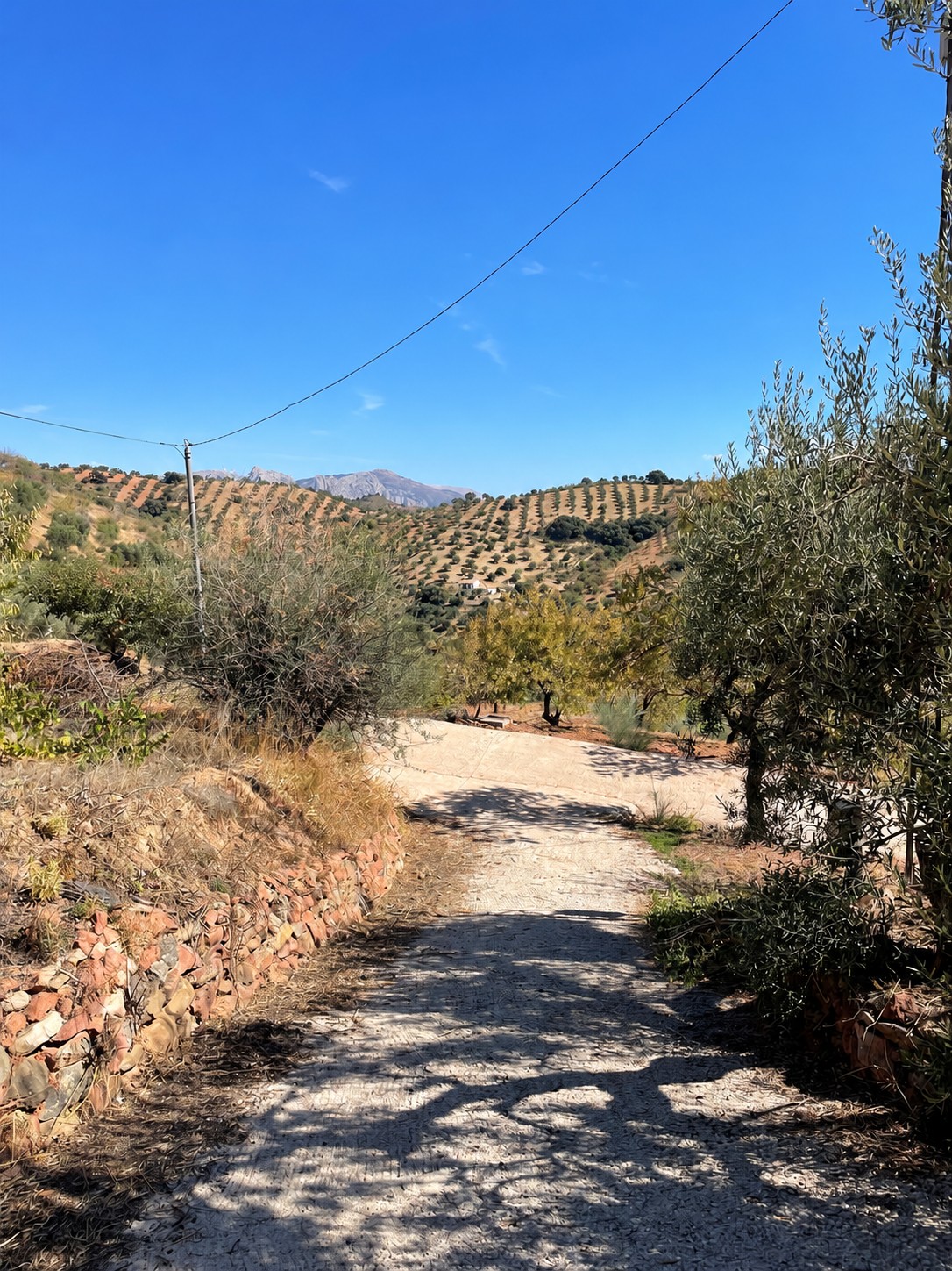CASA DE CAMPO CON PARCELA, GARAJE Y ESPECTACULARES VISTAS EN COLMENAR – MÁLAGA