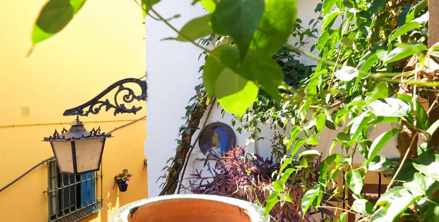 Una casa con alma, arte y vistas a la montaña en el corazón de Benahavís
