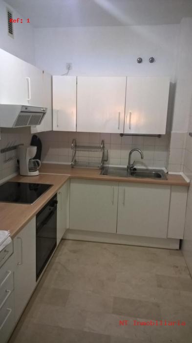 Luxuzko apartamentua hondartzan