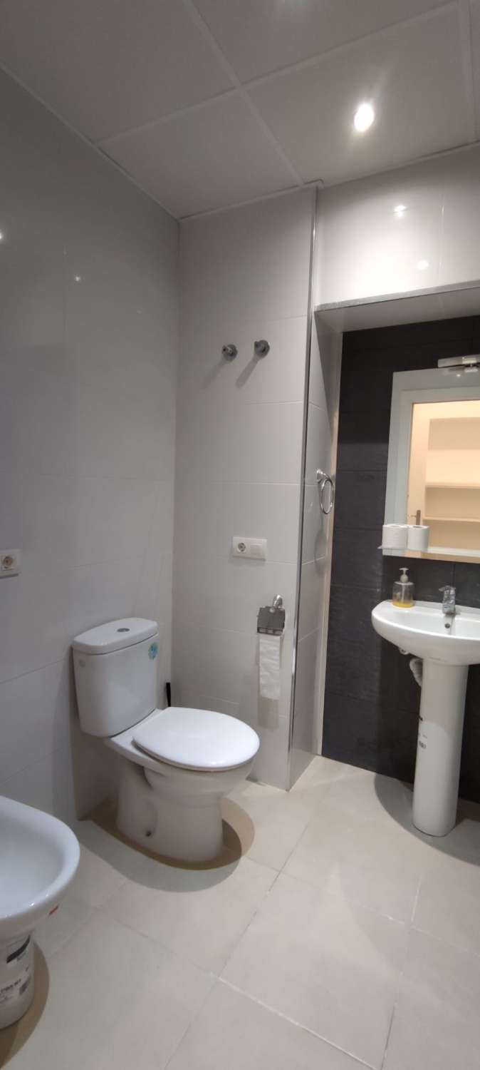 Apartment for holidays in La Carihuela - Los Nidos (Torremolinos)