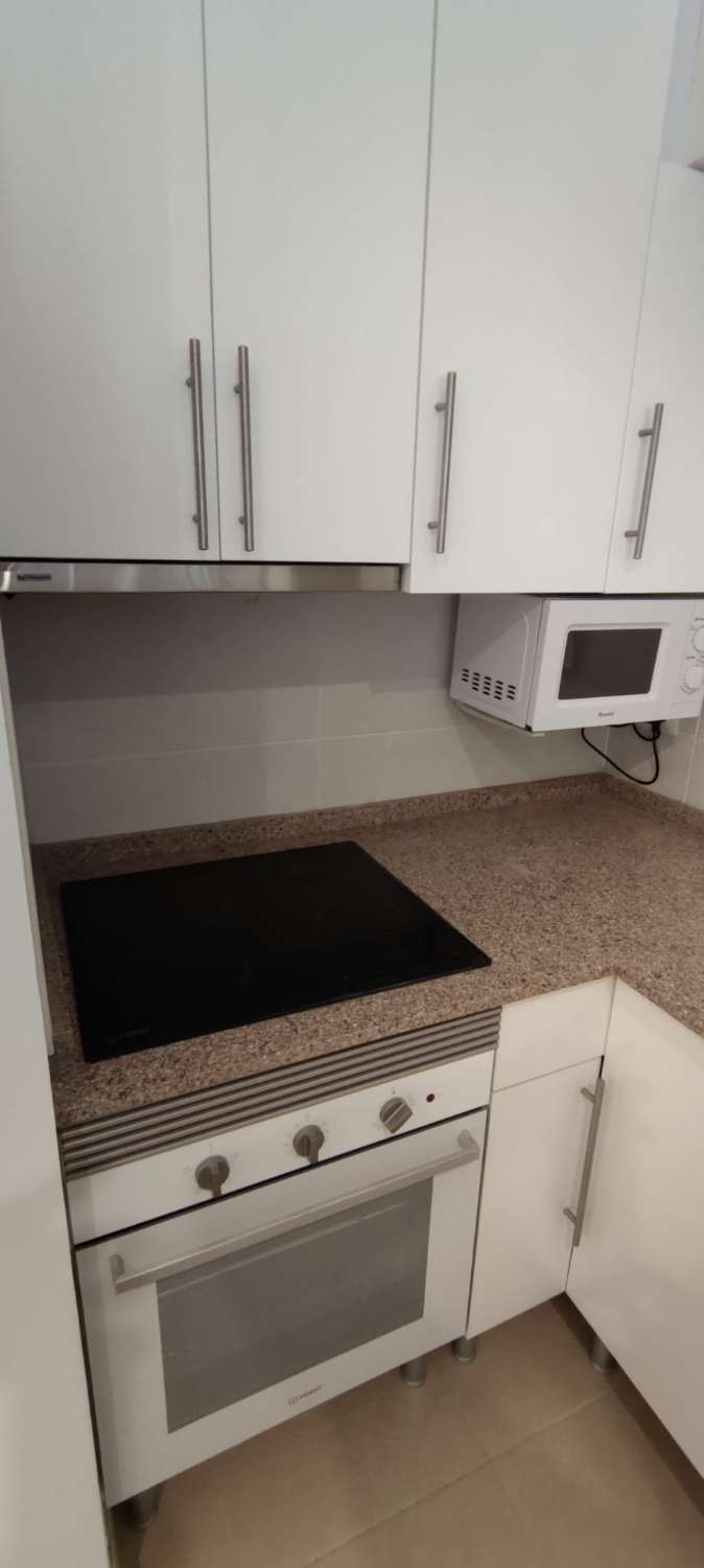 Apartment for holidays in La Carihuela - Los Nidos (Torremolinos)